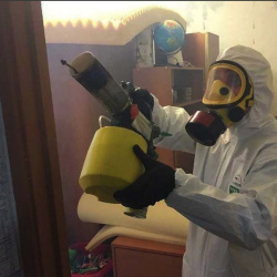 Уничтожение клопов в квартире. Горный